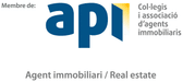 Agente Inmobiliario Colegiado API